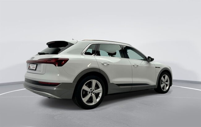 Audi Abu Dhabi Survey