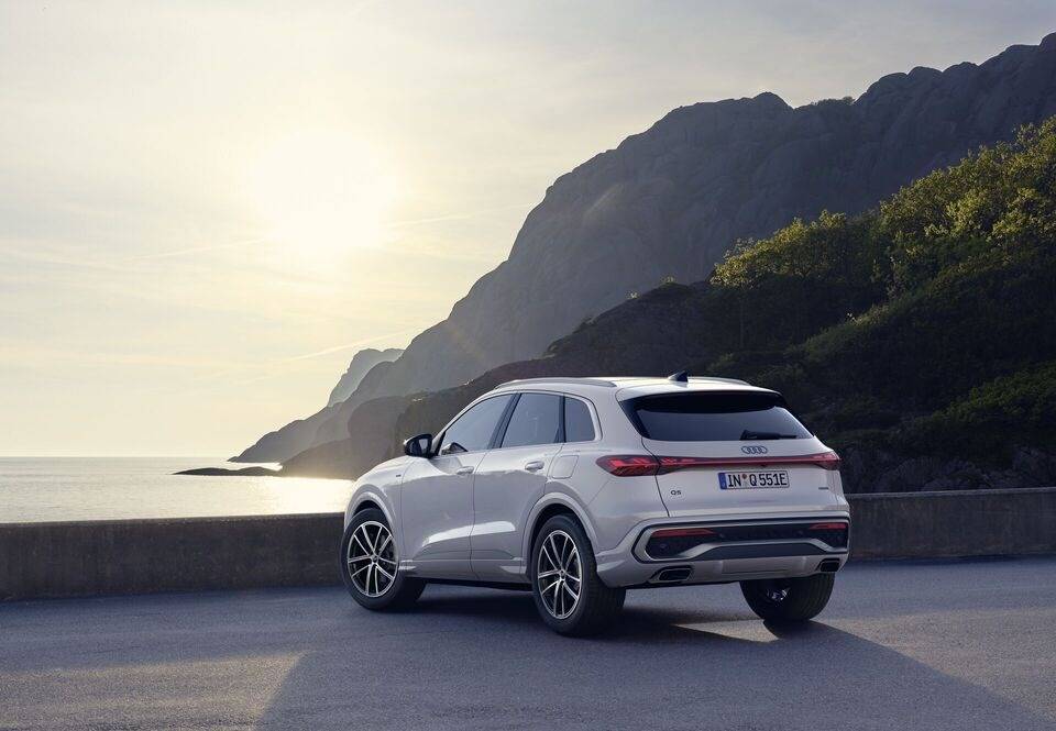 Audi Q5 Rear View
