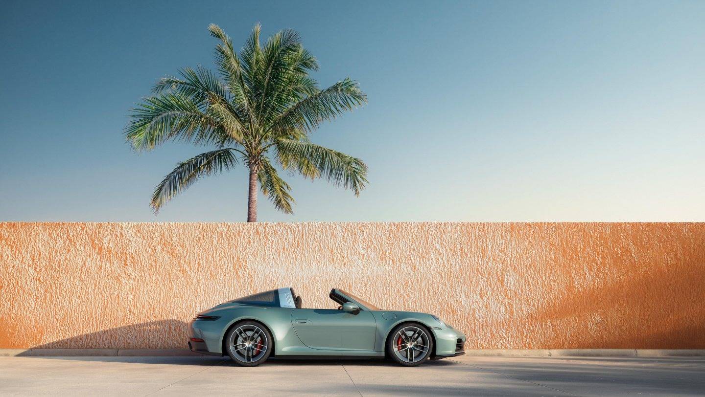 Porsche 911 Side View