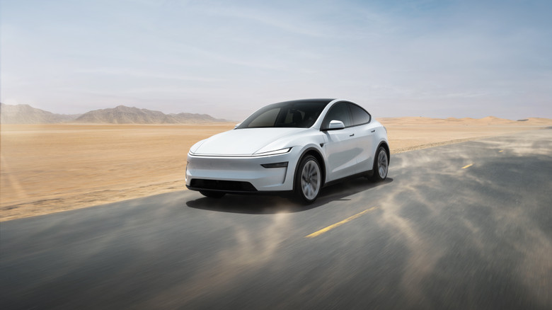 Tesla Model Y 2025