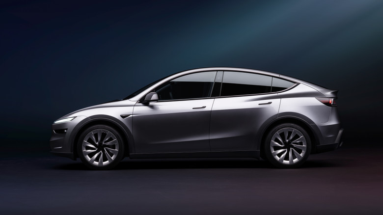 Tesla Model Y Side
