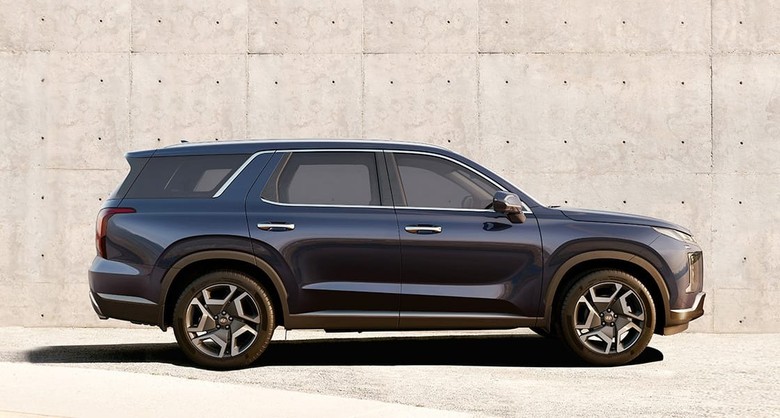 Hyundai Palisade Side