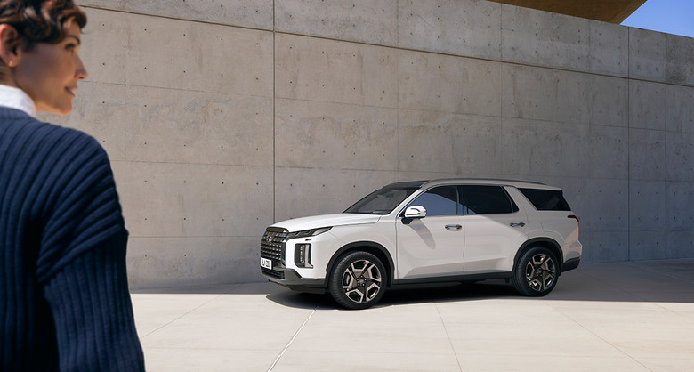 Hyundai Palisade Side