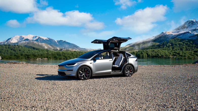Telsa Model X Side View