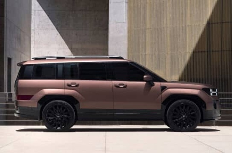 Hyundai Santa Fe side view in brown color